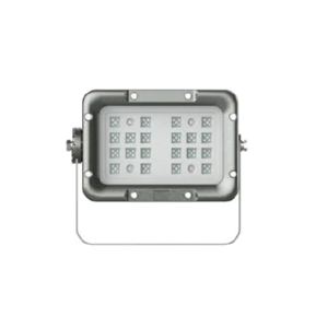 Flood Light