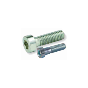 Socket Screw