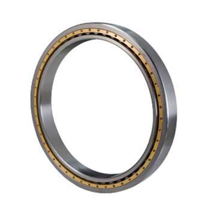 Roller Bearing