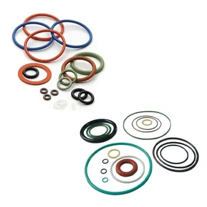 O Ring Gasket