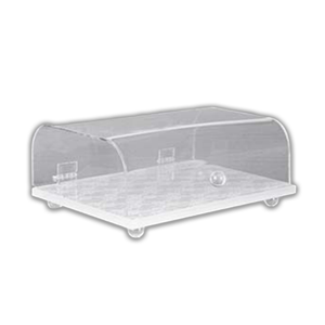 Domestic Food Storage Container