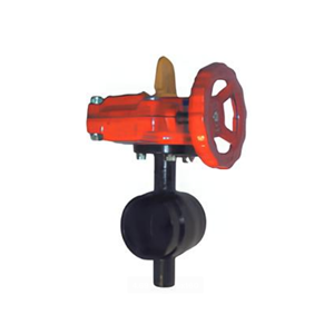 Butterfly Valve