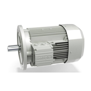 Electric Motor