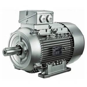 Electric Motor