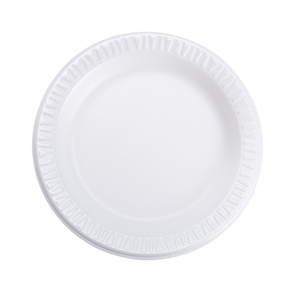 Disposable Foam Plate