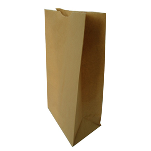 Paper Bag
