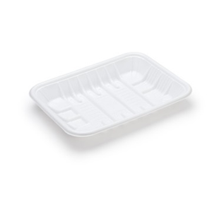 Plastic Disposable Tray