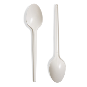 Plastic Spoon