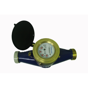 Water Meter