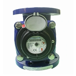 Water Meter