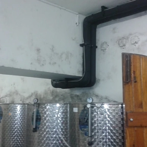 Curing Agent