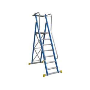 Platform Ladder