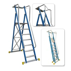 Platform Ladder