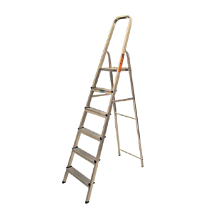 Platform Ladder