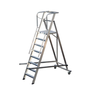 Platform Ladder