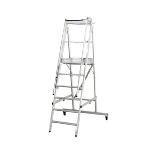 Platform Ladder