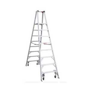 Platform Ladder