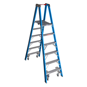 Platform Ladder