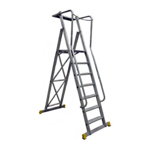 Platform Ladder