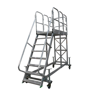 Platform Ladder