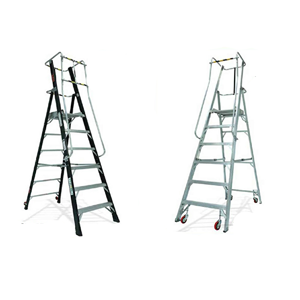 Platform Ladder