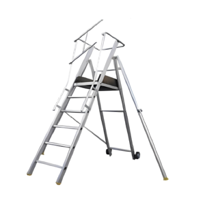 Platform Ladder