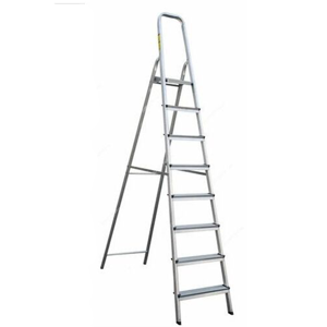 Platform Ladder