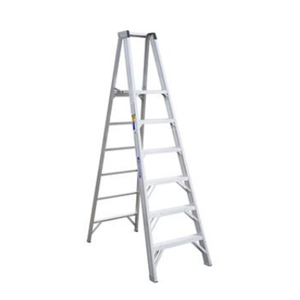 Two Way Ladder