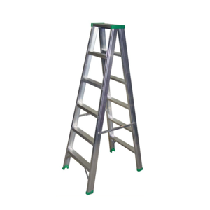 Two Way Ladder