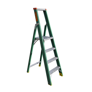 Two Way Ladder