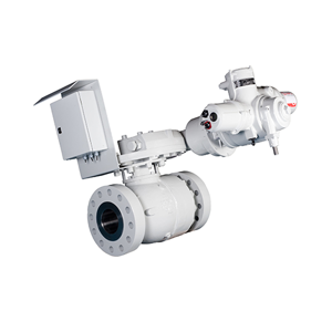 Ball Valve