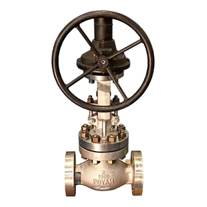 Globe Valve