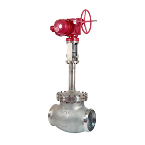 Globe Valve