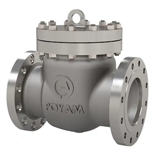 Swing Check Valve