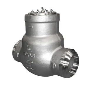 Swing Check Valve