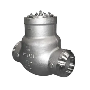 Swing Check Valve