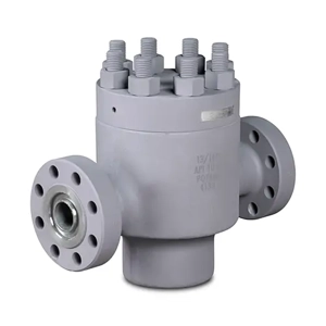 Swing Check Valve