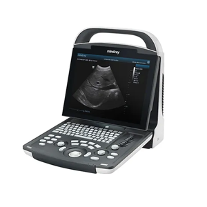 Medical Ultrasound