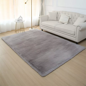 Area Rug
