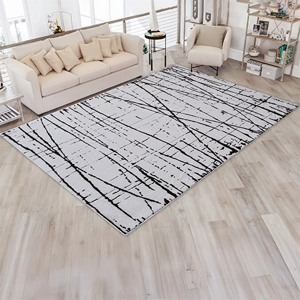 Area Rug