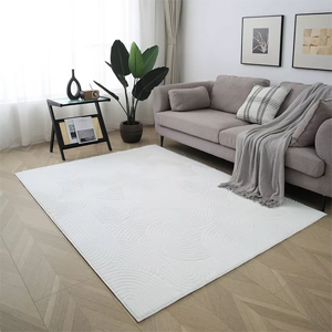 Area Rug