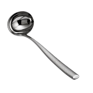 Kitchen Ladle
