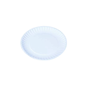 Paper Plate