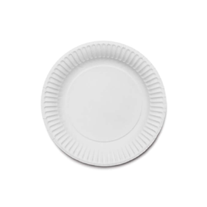 Paper Plate