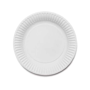 Paper Plate