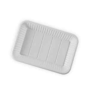 Plastic Disposable Tray