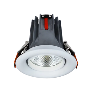 General Purpose Downlight