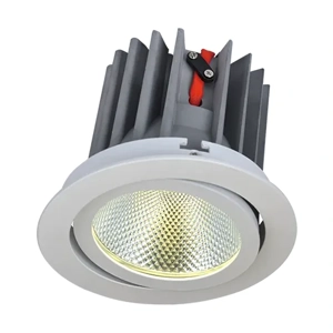 General Purpose Downlight