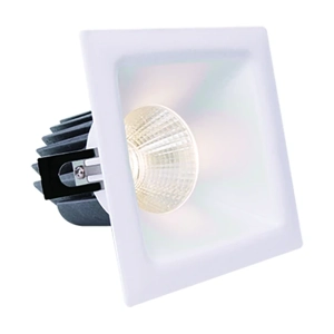 General Purpose Downlight