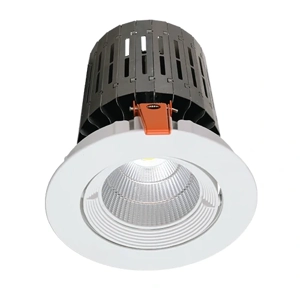 General Purpose Downlight